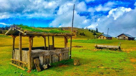 RİZE